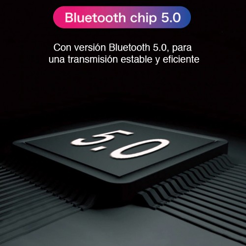 Transmisor receptor Bluetooth 5.0 USB PC Notebook 
