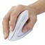 Mouse Vertical Ergonómico Inalámbrico Blanco