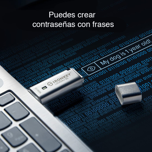 Pendrive con Password y Cloud IronKey Locker 16GB