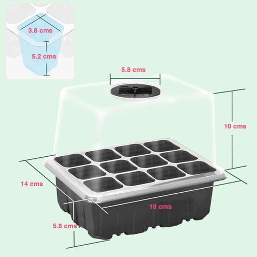 5 Piezas Bandejas Semilleros de Germinacion con Luces LED de Cultivo, Mini  Juego de Cultivo de Invernadero para AlféIzares de Invernaderos Plantas en  Crecimiento: : Jardín