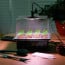 Germinador semillas con luz pack 5 bandejas