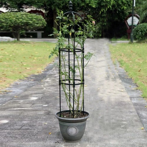 Soporte plantas trepadoras enredaderas Obelisco 