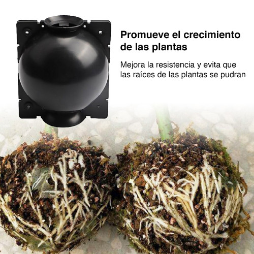 Cápsula Esquejera enraizamiento plantas x 10 Cápsula Esquejera enraizamiento plantas x 10
