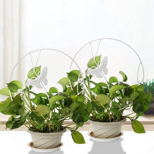 Soporte plantas trepadoras Mariposa Blanca 