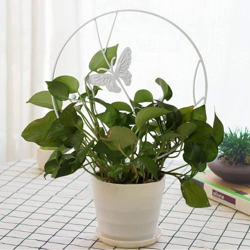 Soporte plantas trepadoras Mariposa Blanca 