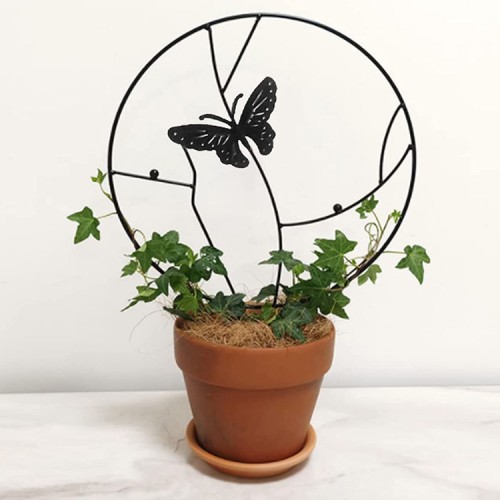 Soporte plantas trepadoras Mariposa Negra 
