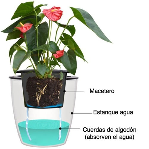 Macetero aurorregante automático cuerdas 17 cms
