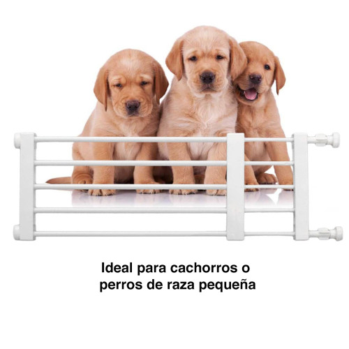 Reja seguridad perros niños retractil largo ajustable