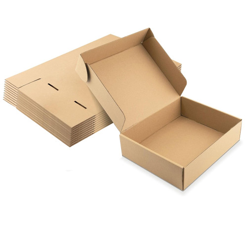 Cajas cartón envío delivery Pack 10 unidades Cajas cartón envío delivery Pack 10 unidades