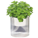 Macetero aurorregante automático cuerdas 17 cms