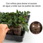 Kit Jardinería: Mini Invernadero Vertical 3 Bandejas + 3 Bandejas Almacigueras 48 Celdas - Imagen 10