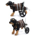 Silla Ruedas perro XS y S ajustable 4 a 9 KG - Imagen 5