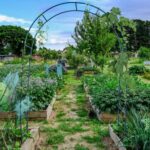 Arco para jardín plantas enredaderas altura ajustable - Imagen 3