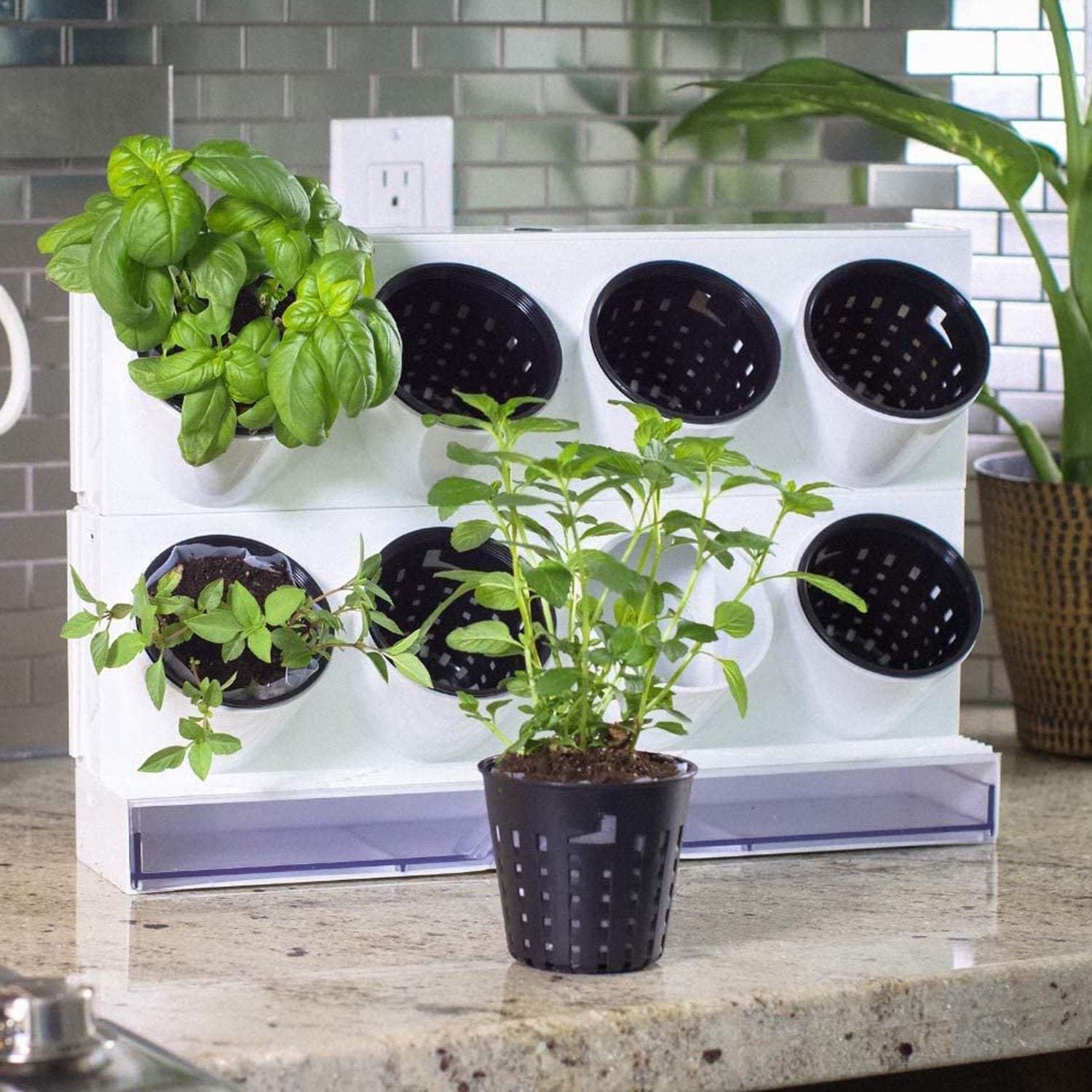 Mini huerto portátil con riego eficiente - Imagen 6