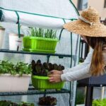 Mini invernadero vertical armable 4 bandejas 158 cms - Imagen 4