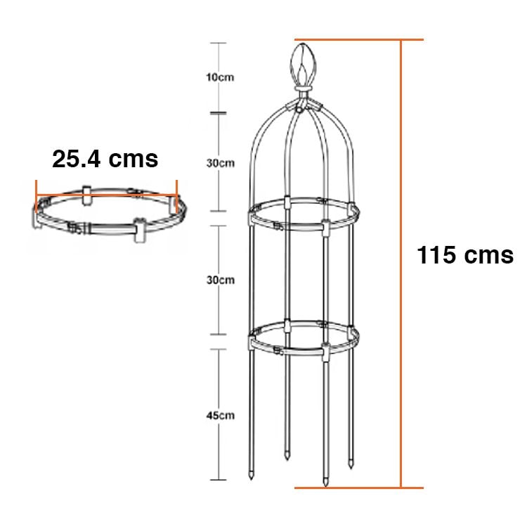 Soporte plantas trepadoras enredaderas Obelisco - Imagen 3