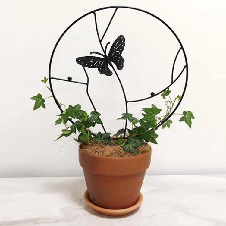 Soporte plantas trepadoras Mariposa Negra - Imagen 3
